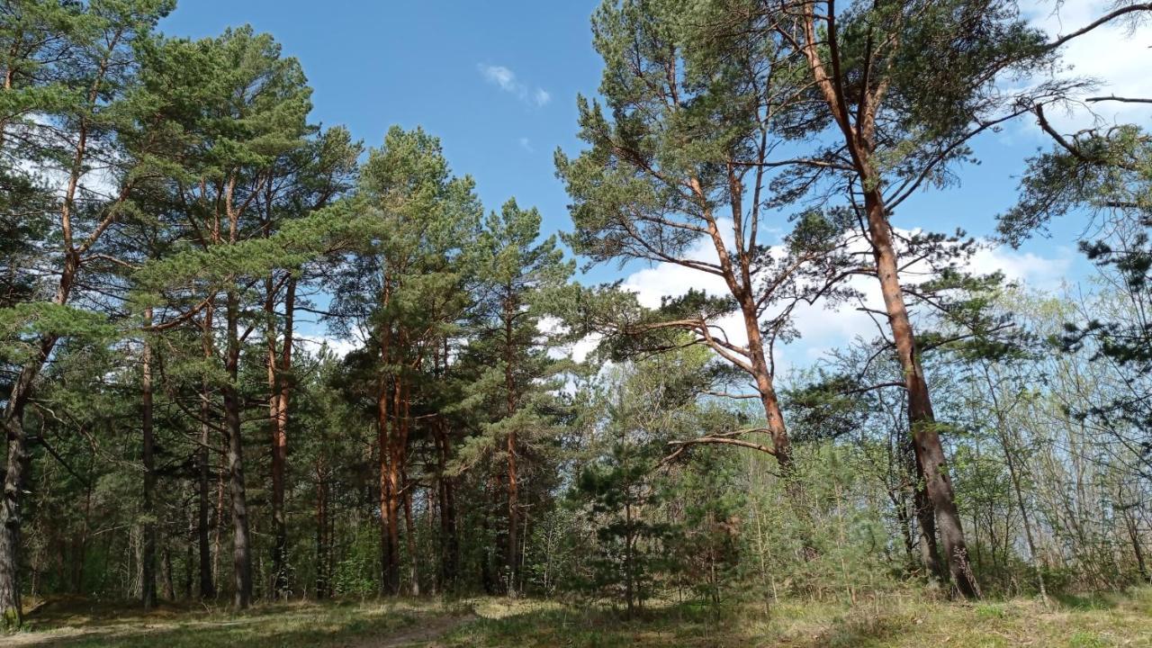 House, Garden & Sauna. Free Parking. Train Stop-200 M. Sea-1 Km. Jūrkalne Exterior foto